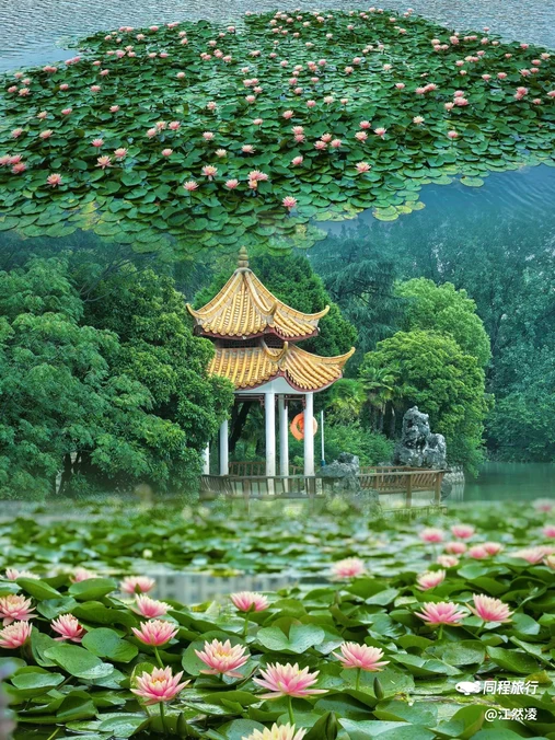瑶海公园 - 合肥市旅游