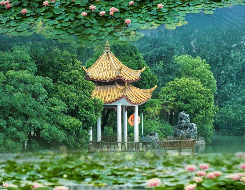 瑶海公园 - 合肥市旅游 1