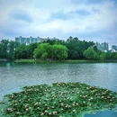 瑶海公园 - 合肥市旅游 缩略图 6