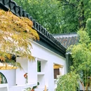 浮庄 - 合肥市旅游 缩略图 5
