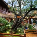 菌膳府菌锅·梅仙画院(大理南门店) - 大理白族自治州旅游 缩略图 2