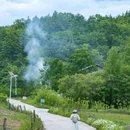 西方沟村 - 汉中市旅游 缩略图 4