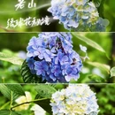 江宁大学城公园 - 南京市旅游 缩略图 9