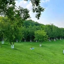 羊山公园 - 南京市旅游 缩略图 2