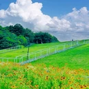 南京佛手湖郊野公园 - 南京市旅游 缩略图 5