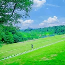 南京佛手湖郊野公园 - 南京市旅游 缩略图 4