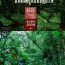 大浪绿道 - 深圳市旅游 缩略图 4