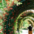通州运河公园 - 北京市旅游 缩略图 5