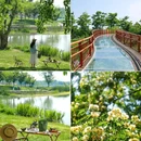 成都香格里拉 - 成都市旅游 缩略图 3