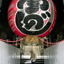 日本 - 海外旅游 缩略图 8