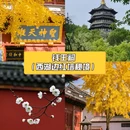 和昉巨幕影院酒店(西湖湖滨店) - 杭州市旅游 缩略图 2