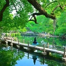 寄畅园 - 无锡市旅游 缩略图 5