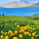 赛里木湖国家级风景名胜区 - 博尔塔拉蒙古自治州旅游 缩略图 1