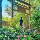 蠡园 - 无锡市旅游 缩略图 9