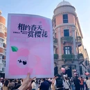 巴公房子 - 武汉市旅游 缩略图 3