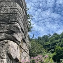 太行山王莽岭旅游景区 - 晋城市旅游 缩略图 3