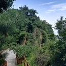太行山王莽岭旅游景区 - 晋城市旅游 缩略图 9