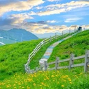安吉云上草原度假村·半山隐竹酒店 - 湖州市旅游 缩略图 1