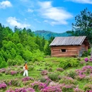 罗古箐景区 - 怒江傈僳族自治州旅游 缩略图 3