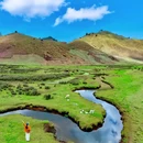 罗古箐景区 - 怒江傈僳族自治州旅游 缩略图 9