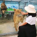 都匀秦汉影视城 - 黔南布依族苗族自治州旅游 缩略图 7