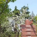 苏州上方山国家森林公园 - 苏州市旅游 缩略图 8