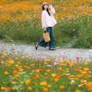汪家湾花海 - 成都市旅游 缩略图 4