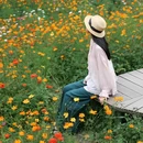 汪家湾花海 - 成都市旅游 缩略图 7