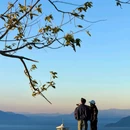 云想山风景区 - 大理白族自治州旅游 缩略图 5
