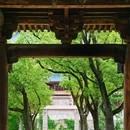 濮院时尚古镇 - 嘉兴市旅游 缩略图 2