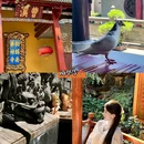 南华寺 - 韶关市旅游 缩略图 7