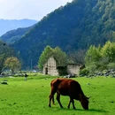 情人谷 - 汉中市旅游 缩略图 3