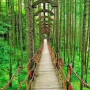 情人谷 - 汉中市旅游 缩略图 7