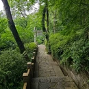 敕建净慈禅寺-南屏晚钟碑亭 - 杭州旅游 缩略图 9