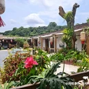 LINLEE林里·手打柠檬茶(坂田天虹购物中心店) - 深圳市旅游 缩略图 3