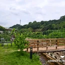LINLEE林里·手打柠檬茶(坂田天虹购物中心店) - 深圳市旅游 缩略图 5