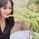 LINLEE林里·手打柠檬茶(坂田天虹购物中心店) - 深圳市旅游 缩略图 8