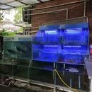 7mall美食潮地标 - 长沙市旅游 缩略图 5