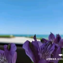 青岛太古购物中心 - 青岛市旅游 缩略图 8
