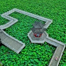 武汉东湖落雁景区 - 武汉市旅游 缩略图 2