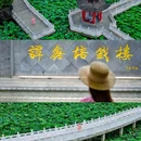 武汉东湖落雁景区 - 武汉市旅游 缩略图 5