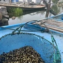 苏州人民商场 - 苏州市旅游 缩略图 4
