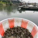 苏州人民商场 - 苏州市旅游 缩略图 3