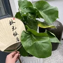 苏州人民商场 - 苏州市旅游 缩略图 8