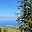 赛里木湖 - 博尔塔拉蒙古自治州旅游 缩略图 4