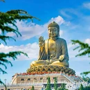 铂雅未来酒店 - 烟台市旅游 缩略图 5