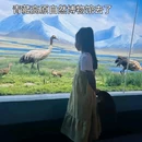 青海湖二郎剑景区 - 海南藏族自治州旅游 缩略图 1