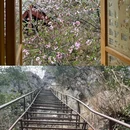一线天 - 曲靖市旅游 缩略图 3
