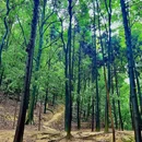 三块石 - 重庆市旅游 缩略图 1