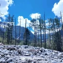 理小路 - 阿坝藏族羌族自治州旅游 缩略图 4